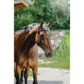 Norton Brida Freedom Habana Norton Brida Freedom Habana