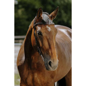 Norton Brida Freedom Habana Norton Brida Freedom Habana