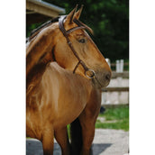 Norton Brida Freedom Habana Norton Brida Freedom Habana