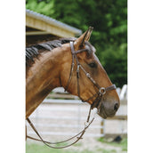 Norton Brida sin Bocado Habana Norton Brida sin Bocado Habana