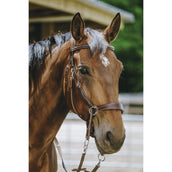 Norton Brida sin Bocado Habana Norton Brida sin Bocado Habana