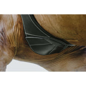 Norton Cincha de Salto Magnet Negro Norton Cincha de Salto Magnet Negro