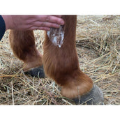 Animaderm Lotion Derfongen Animaderm Lotion Derfongen