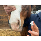 Animaderm Protección Solar Solaren Animaderm Protección Solar Solaren