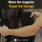 Equilibrium Protectores de piernas Hind & Hock Magnetic Gris Equilibrium Protectores de piernas Hind & Hock Magnetic Gris