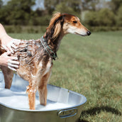 Equine America Shampoo Oat-So-Soothing Natural Equine America Shampoo Oat-So-Soothing Natural