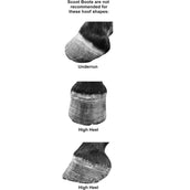 Scoot Boots Herradura Regular Single Negro Scoot Boots Herradura Regular Single Negro