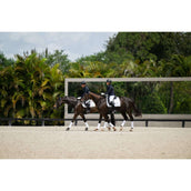 Equestrian Stockholm Vendajes White Silver Equestrian Stockholm Vendajes White Silver