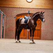 Equestrian Stockholm Mantilla Line Doma clásica Champagne Equestrian Stockholm Mantilla Line Doma clásica Champagne