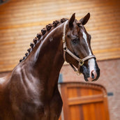 Equestrian Stockholm Cabezada Line Champagne Equestrian Stockholm Cabezada Line Champagne