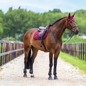 Equestrian Stockholm Bonete para Orejas Satin Merlot Equestrian Stockholm Bonete para Orejas Satin Merlot