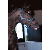 Equestrian Stockholm Cabezada Glimmer Leather Anatomic Teal Blue Equestrian Stockholm Cabezada Glimmer Leather Anatomic Teal Blue