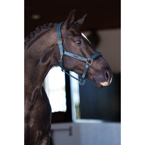 Equestrian Stockholm Cabezada Glimmer Leather Anatomic Teal Blue Equestrian Stockholm Cabezada Glimmer Leather Anatomic Teal Blue