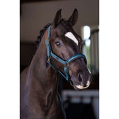 Equestrian Stockholm Cabezada Glimmer Leather Anatomic Teal Blue Equestrian Stockholm Cabezada Glimmer Leather Anatomic Teal Blue