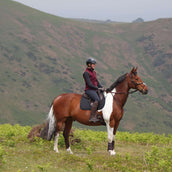 Aubrion by Shires Chaleco Original Fleece Maroon Aubrion by Shires Chaleco Original Fleece Maroon