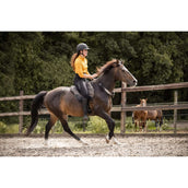 F.R.A. Bareback Pad Dardo Basic Bling Bling F.R.A. Bareback Pad Dardo Basic Bling Bling