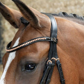 Harry's Horse Brida Doble Soft Rosegold Negro Harry's Horse Brida Doble Soft Rosegold Negro