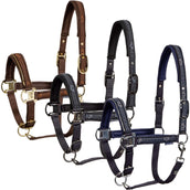 Harry's Horse Juego de Cabestro EQS Black-Sand Harry's Horse Juego de Cabestro EQS Black-Sand