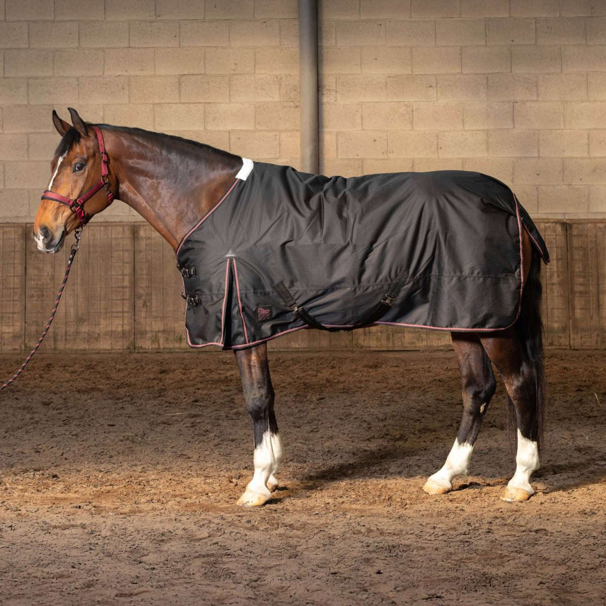 Harry's Horse Manta de Invierno Thor 200g WI25 Jet Black Harry's Horse Manta de Invierno Thor 200g WI25 Jet Black