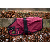 HB Manta para Potro Ukki Bordeaux HB Manta para Potro Ukki Bordeaux