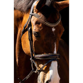 HB Brida Jump Rocky Marron Brillante HB Brida Jump Rocky Marron Brillante