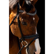 HB Brida Jump Rocky Purpurina/Negro HB Brida Jump Rocky Purpurina/Negro