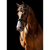 HB Brida Jump Rocky Purpurina/Negro HB Brida Jump Rocky Purpurina/Negro