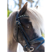 HB Brida Rocky Purpurina/Negro HB Brida Rocky Purpurina/Negro