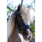 HB Brida Rocky Purpurina/Negro HB Brida Rocky Purpurina/Negro