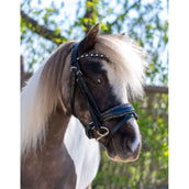 HB Brida Rocky Purpurina/Negro HB Brida Rocky Purpurina/Negro