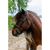 HB Ruitersport Brida Showtime Leopard Negro HB Ruitersport Brida Showtime Leopard Negro