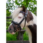 HB Ruitersport Brida Showtime Petit Royal Negro HB Ruitersport Brida Showtime Petit Royal Negro