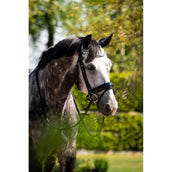 HB Ruitersport Brida Showtime Ultimate Dream Negro HB Ruitersport Brida Showtime Ultimate Dream Negro