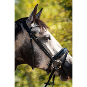 HB Ruitersport Brida Showtime Ultimate Dream Negro HB Ruitersport Brida Showtime Ultimate Dream Negro