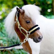 HB Cabezada Sunny Flower Amarillo HB Cabezada Sunny Flower Amarillo