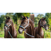 HB Cabezada Showtime Pioneer Azul hielo HB Cabezada Showtime Pioneer Azul hielo