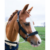 HB Cabezada Showtime Velvet Little Sizes Negro/Negro Brillo HB Cabezada Showtime Velvet Little Sizes Negro/Negro Brillo