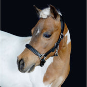 HB Cabezada Showtime Little Sizes Cuero Negro HB Cabezada Showtime Little Sizes Cuero Negro