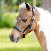 HB Cabezada Showtime Little Sizes Cuero Negro HB Cabezada Showtime Little Sizes Cuero Negro