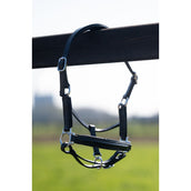 HB Cabezada Showtime Glitty Little Sizes Negro/Negro Brillo HB Cabezada Showtime Glitty Little Sizes Negro/Negro Brillo