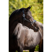 HB Ruitersport Cabestro Showtime Grand Slam Negro/Aqua Blue HB Ruitersport Cabestro Showtime Grand Slam Negro/Aqua Blue