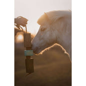 Herbie Juguete de madera a base de hierbas Breath Herbie Juguete de madera a base de hierbas Breath