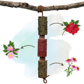 Herbie Juguete de madera a base de hierbas Immunity Herbie Juguete de madera a base de hierbas Immunity