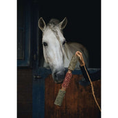 Herbie Juguete de madera a base de hierbas Immunity Herbie Juguete de madera a base de hierbas Immunity