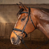 Harry's Horse Brida Soft Carbon Black Edition Negro Harry's Horse Brida Soft Carbon Black Edition Negro