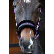 Harry's Horse Halter Letras Citas Lila Harry's Horse Halter Letras Citas Lila