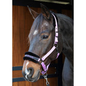 Harry's Horse Halter Letras Citas Lila Harry's Horse Halter Letras Citas Lila