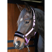 Harry's Horse Halter Letras Citas Lila Harry's Horse Halter Letras Citas Lila
