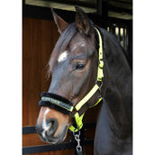 Harry's Horse Halter Letras Citas Lima Harry's Horse Halter Letras Citas Lima