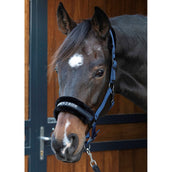 Harry's Horse Halter Letras Citas Navy Harry's Horse Halter Letras Citas Navy